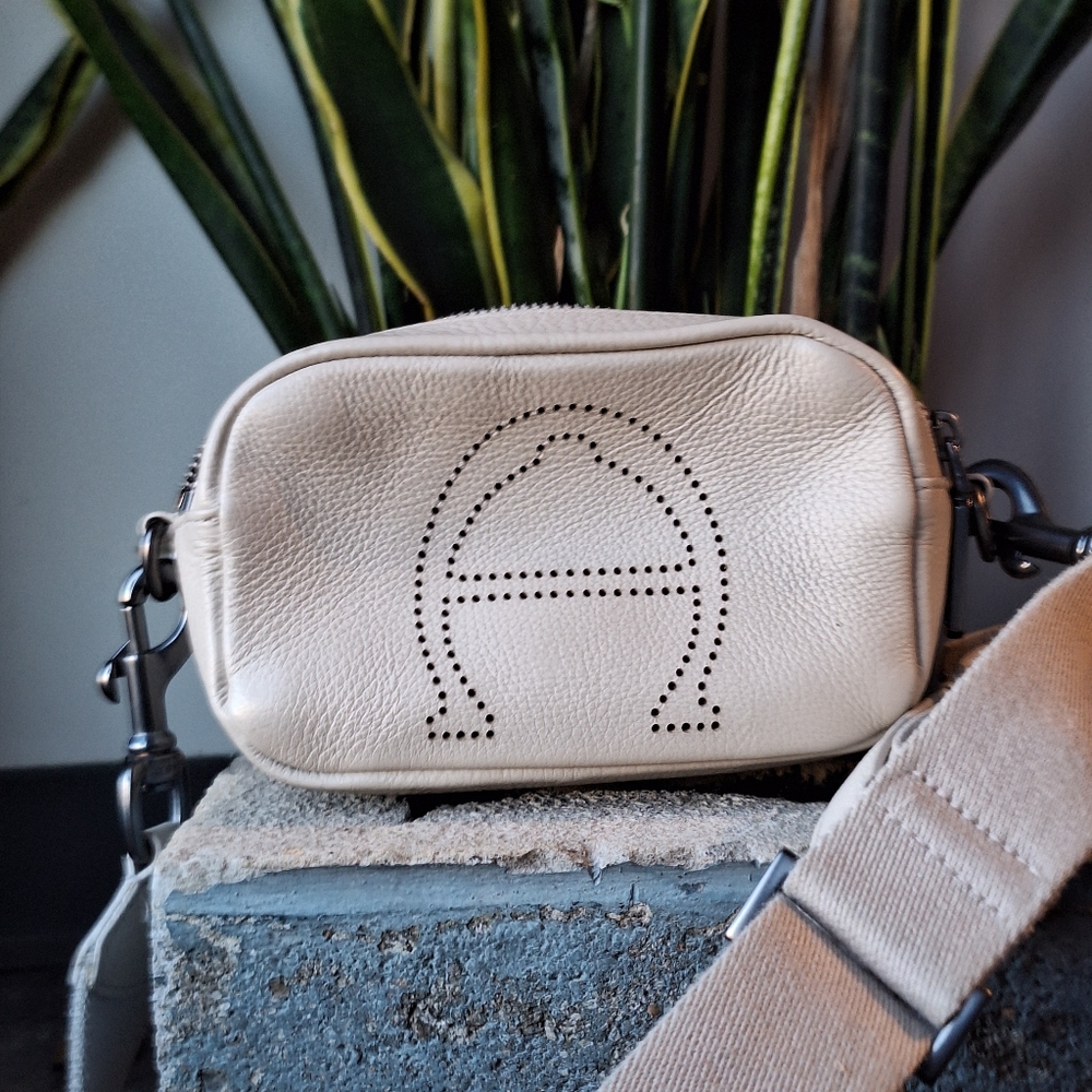 Etienne Aigner mini Stella Leather Crossbody Bag
